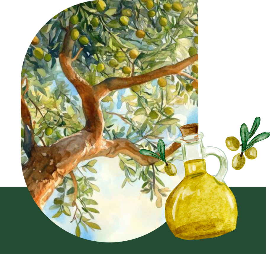 Hakkımızda: Ana Sayfa